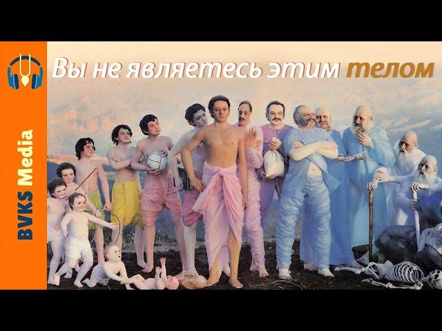 Вы не являетесь этим телом