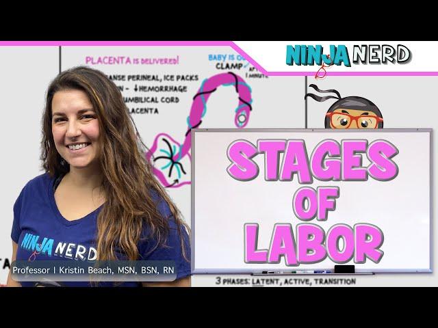 Stages of Labor