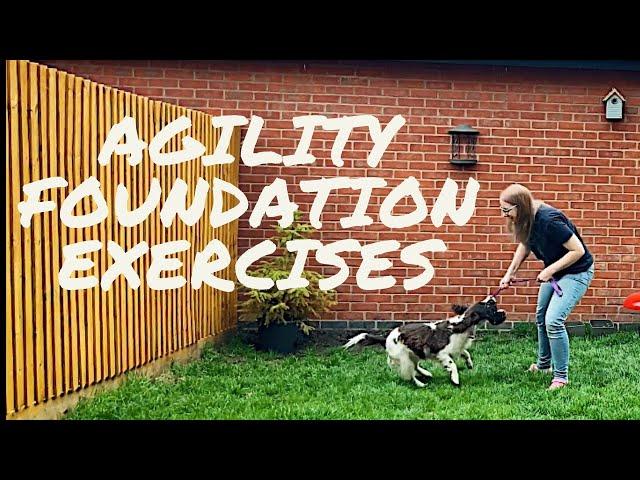 NO EQUIPMENT AGILITY FOUNDATION EXERCISES FOR DOGS AND PUPPIES | Start here before starting agility