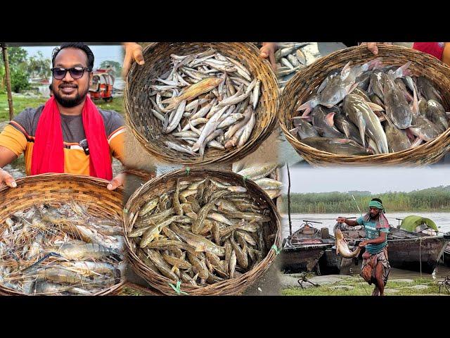 ভোর ৫ টায় তালতলী নদীর পাশে  ৩২০ টাকা কেজি দরে ইলিশ  নদীর চিংড়ি, রিঠা, বাইলা, পাঙাশ, খল্লা, ঘাউরা 