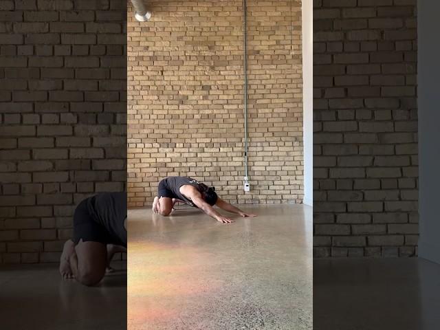 Looking for a quick beginner Flow to practice? Follow along with #AnimalFlow Master Instructor Rosh!