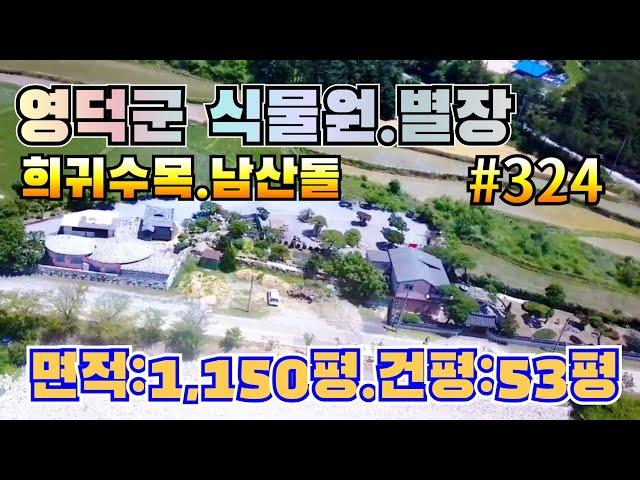 #324 영덕군 남향의 강을접하고 희귀수목과 남산돌로 장식된 최고의 별장.캠핑장.연수원.수련원등 추천 - ‎@강산부동산TV 