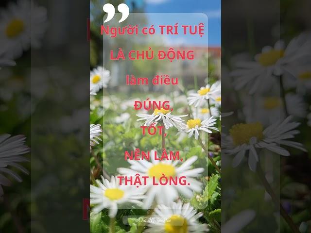 #027 Triết lý giáo dục tận gốc /Châu Nguyễn Hse