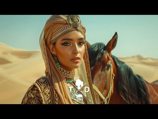 DiPap - Harem [PREMIERE]