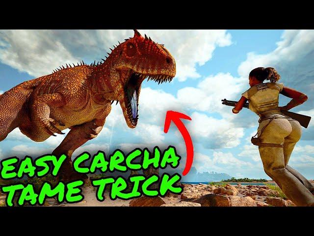 No Trap EASY Carcha Tame TRICK on Ark Survival Ascended!! Easily Tame The Most OP Creature!!!