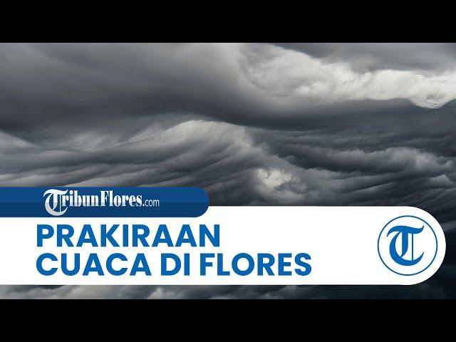 Prakiraan Cuaca di Flores Sabtu 16 November 2024, Sebagian Wilayah Dilanda Hujan, Ende Berawan Tebal