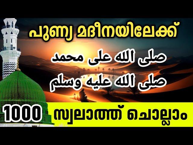 പുണ്യ മദീനയിലേക്ക് 1000 സ്വലാത്ത് കൂടെ ചൊല്ലാം. Swalath majlis Dikr Counter. 1000 times reciting.