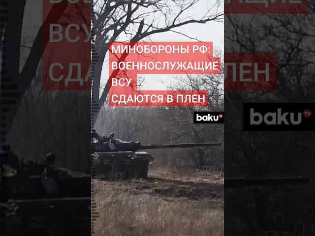 Сводка Минобороны РФ о ходе боевых действий в Курской области (по состоянию на 13 октября 2024 г.)