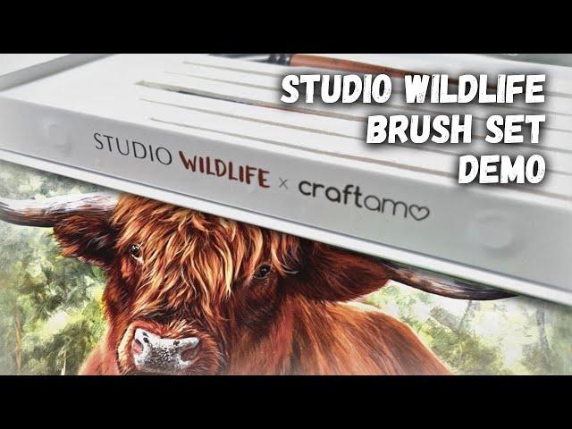 MY NEW BRUSH SET! Unboxing and Brushes Demo