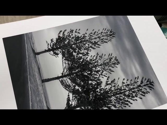 Peter Racz: Finishing the prints for Africa exhibition