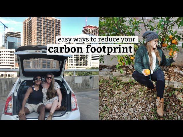 21 EASY ways to reduce your CARBON FOOTPRINT in 2021