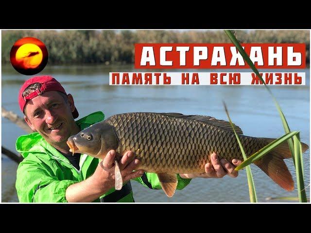 Fishing and recreation in Astrakhan from A to Z / Memory for life