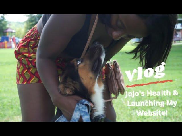 VLOG: Why I Disappeared again, JOJO's Heartworm Treatment, Launching My Fitness Business! || SusieB