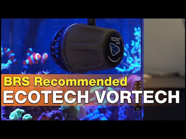 Worth it? The EcoTech VorTech MP10 , MP40 and MP60 review - It’s BRS recommended.