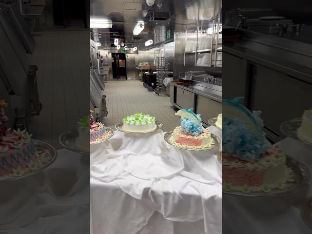 A peek in the kitchen! #galleytour #food #enchantedprincess