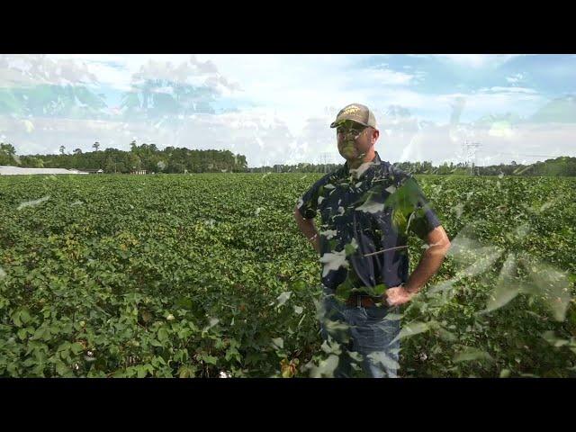 Cotton Connections - Jared Turner (Summer 2023)