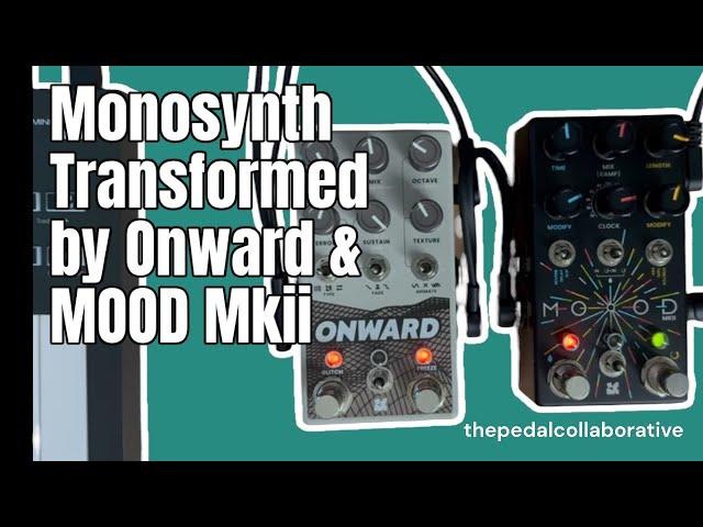 NO TALKING // Monophonic to Glitchy Synth Pad Transformation: Chase Bliss Mood MKII & Onward Magic