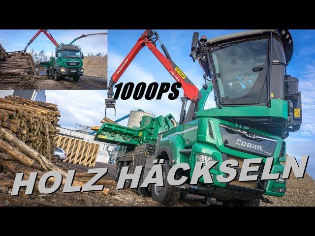 HOLZ HÄCKSELN XXL | 2x JENZ HACKER | HIT HOLZ TORGAU | COBRA hybrid | MAN POWER