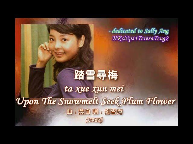 鄧麗君 Teresa Teng 踏雪尋梅 Upon The Snowmelt Seek Plum Flowers