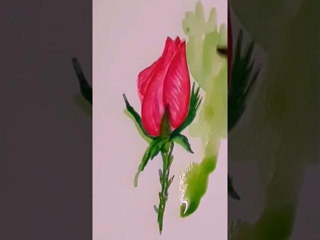 Rose Bud painting | Artist Swapna Salim