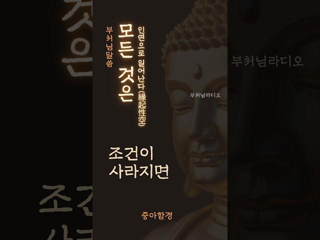 모든 것은 인연으로 일어난다 | 부처님말씀 | 석가모니명언 | 인생지혜 | 명상의말씀