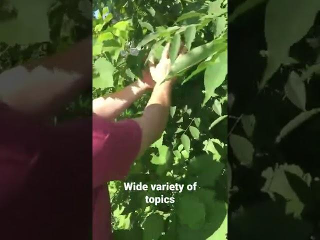  Identifying Grapes vs non-Grapes
