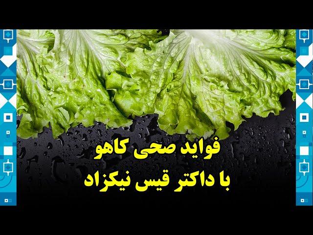 Health benefits of Lettuce, with Dr. Qais Nikzad / فواید صحی کاهو، با داکتر قیس نیکزاد