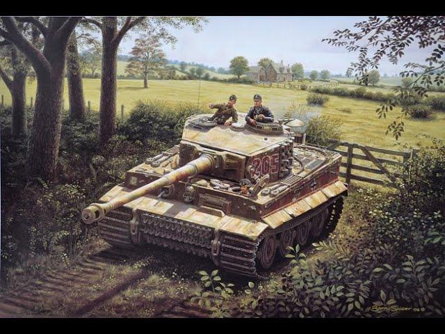 Getting my  Heavy, Large 1/6th Scale German Tiger I RC Tank (Michael Wittmann's 205 Tiger Tank)