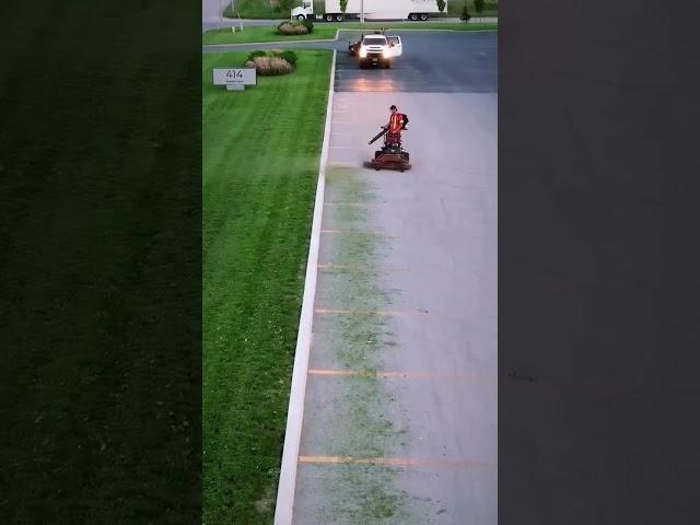 Work smarter not harder! #shorts #youtubeshorts #shortvideo #cleaning #grass #satisfying #artwork