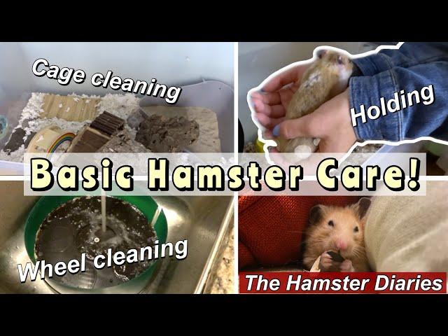 Basic Hamster Care~ How to Cage & Wheel Clean // The Hamster Diaries Episode 1