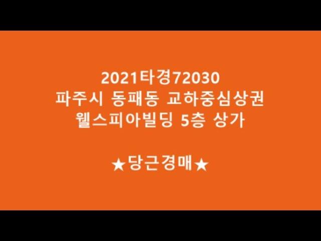 2021타경72030 파주 동패동 교하중심상권 웰스피아빌딩 5층 상가