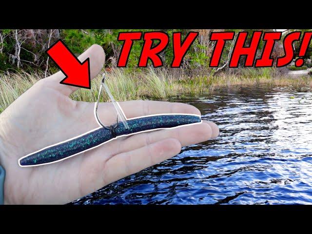 This WILL CHANGE The Way you Fish A Wacky Rig FOREVER!