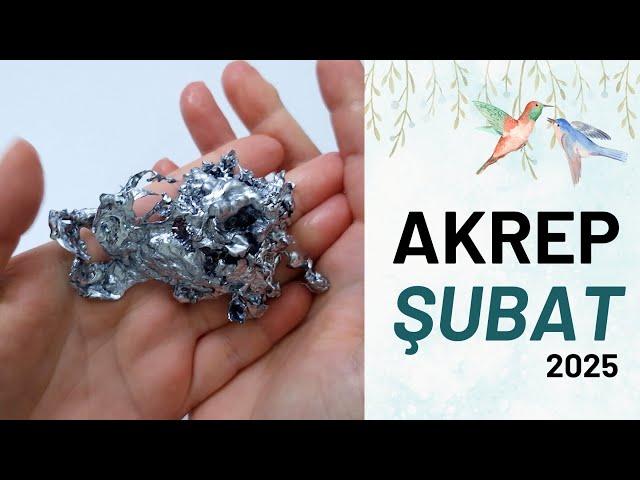 AKREP BURCU ŞUBAT 2025 Aylık Burç Yorumları ( Kurşun Falı )