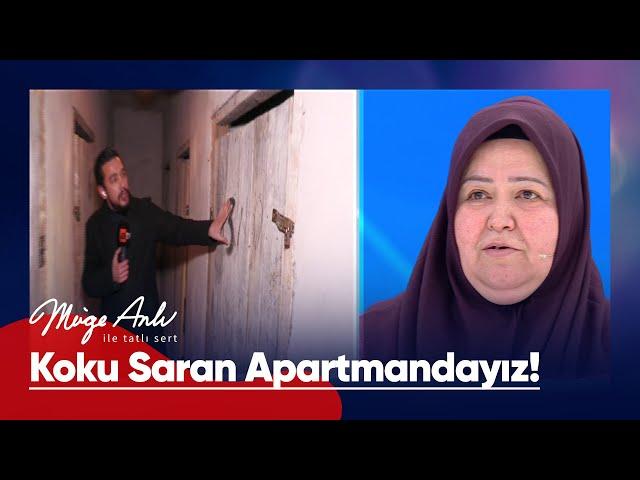 Hasan Çelik'in kaybından sonra koku saran apartmandayız! - Müge Anlı ile Tatlı Sert 29 Ocak 2024