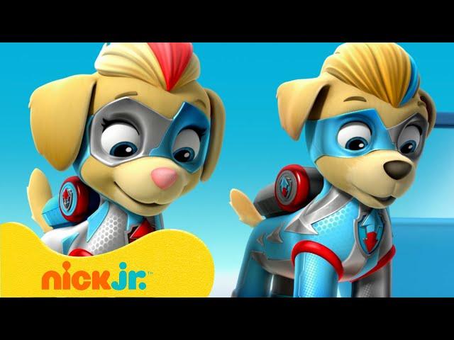 PAW Patrol | ¡Lo Mejor de PAW Patrol Mighty Twins!  | Nick Jr. en Español