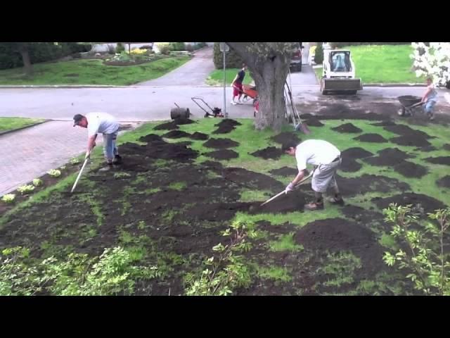 Reseeding The Lawn