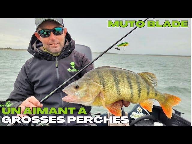 MUTO BLADE: the big perch lure!