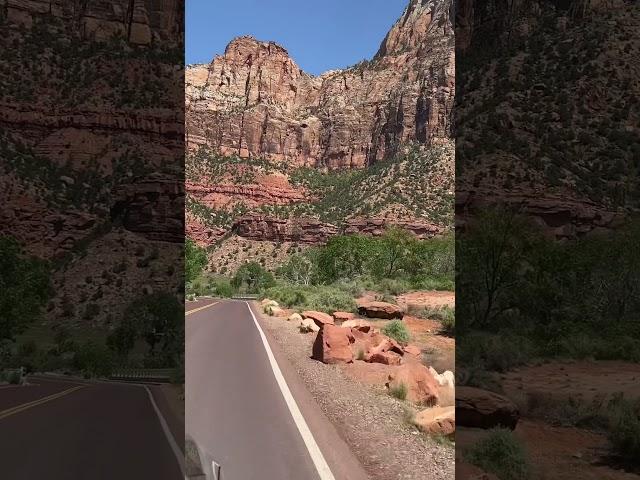 Explore Utah #scenicdrive #shorts #roadtrip #travel #usa #zion #nationalpark #exploreutah #america