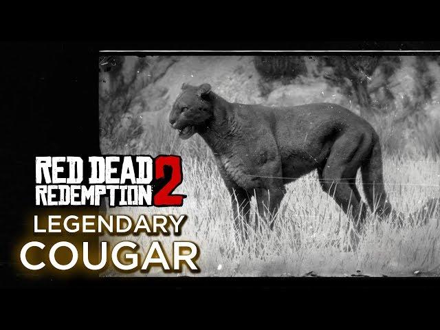 Red Dead Redemption 2 - Legendary Cougar