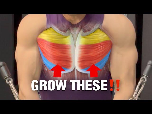 Want a BIGGER Chest? DO THIS‼️