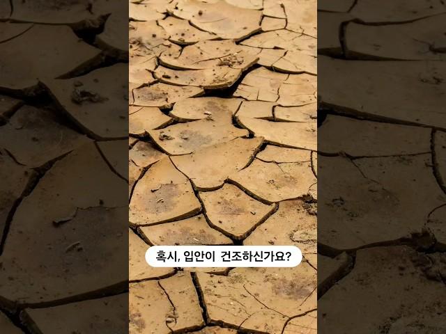 혹시 입안이 건조하신가요? #구강건조증 #입마름 #솔트라이트 #소금치약 #소금 #치약 #소금빛 #용암해수