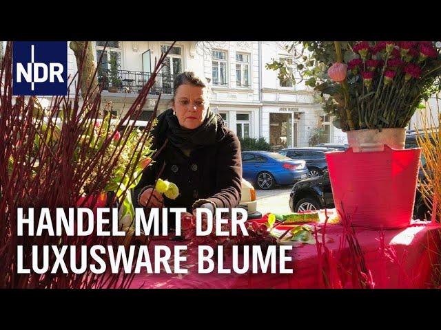 Teure Blüten - Handel mit der Luxusware Blume | Die Nordreportage | NDR Doku