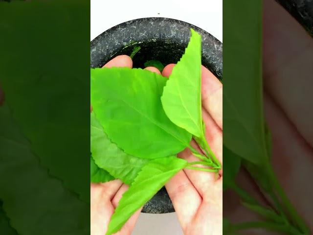 Leaf facial mask | Dr. Baggio | #shorts