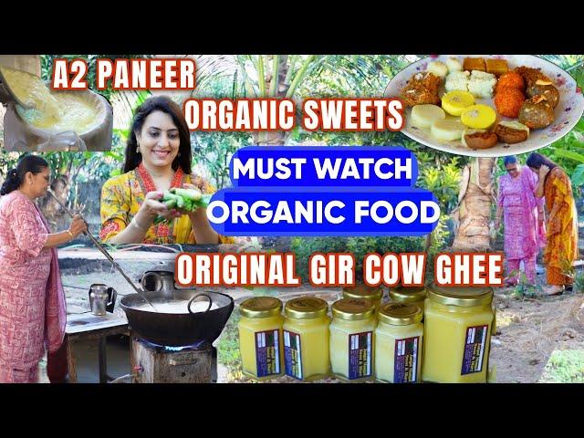 MUST WATCH THIS VIDEO | Original Gir Cow Ghee | Best Food on NH48 | Famous Food in Gujarat