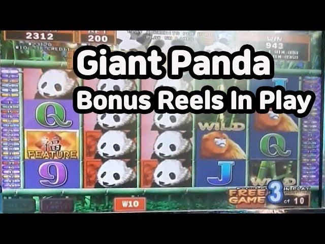 Korea Slot / Giant Panda Slot Machine Bonus Reels In Play