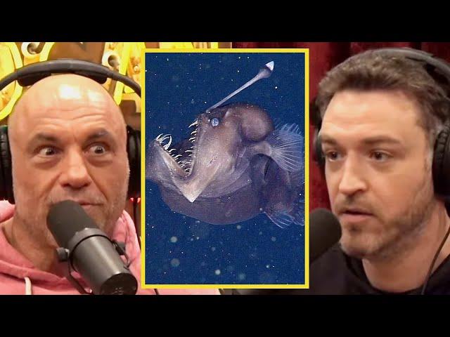 Joe Rogan: "Only 10% of the Ocean Has Been Explored"