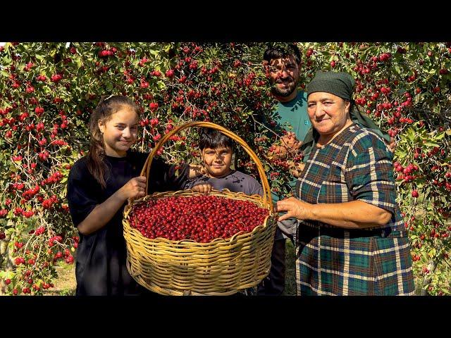 Grandma’s Village Dairy: Relaxing Life and Cooking in the Countryside