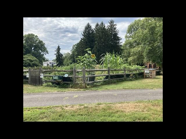 Interview with Sarah Ferguson (Glen Foerd Community Garden)