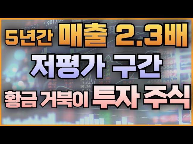 5년간 매출 2.3배 저평가 구간 황금 거북이 투자 주식