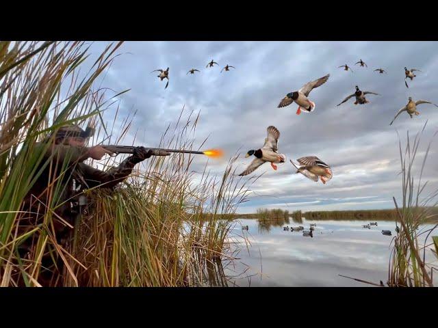 DECOYING Mallards in a SECRET Public Land Pot Hole! (3 Man Limit)